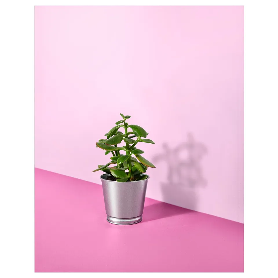 part: BINTJE plant pot