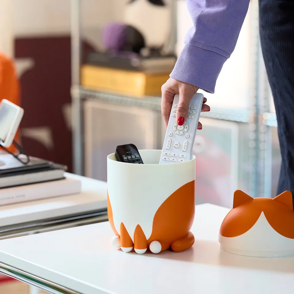 Hand grabs remote from cat organiser near books.