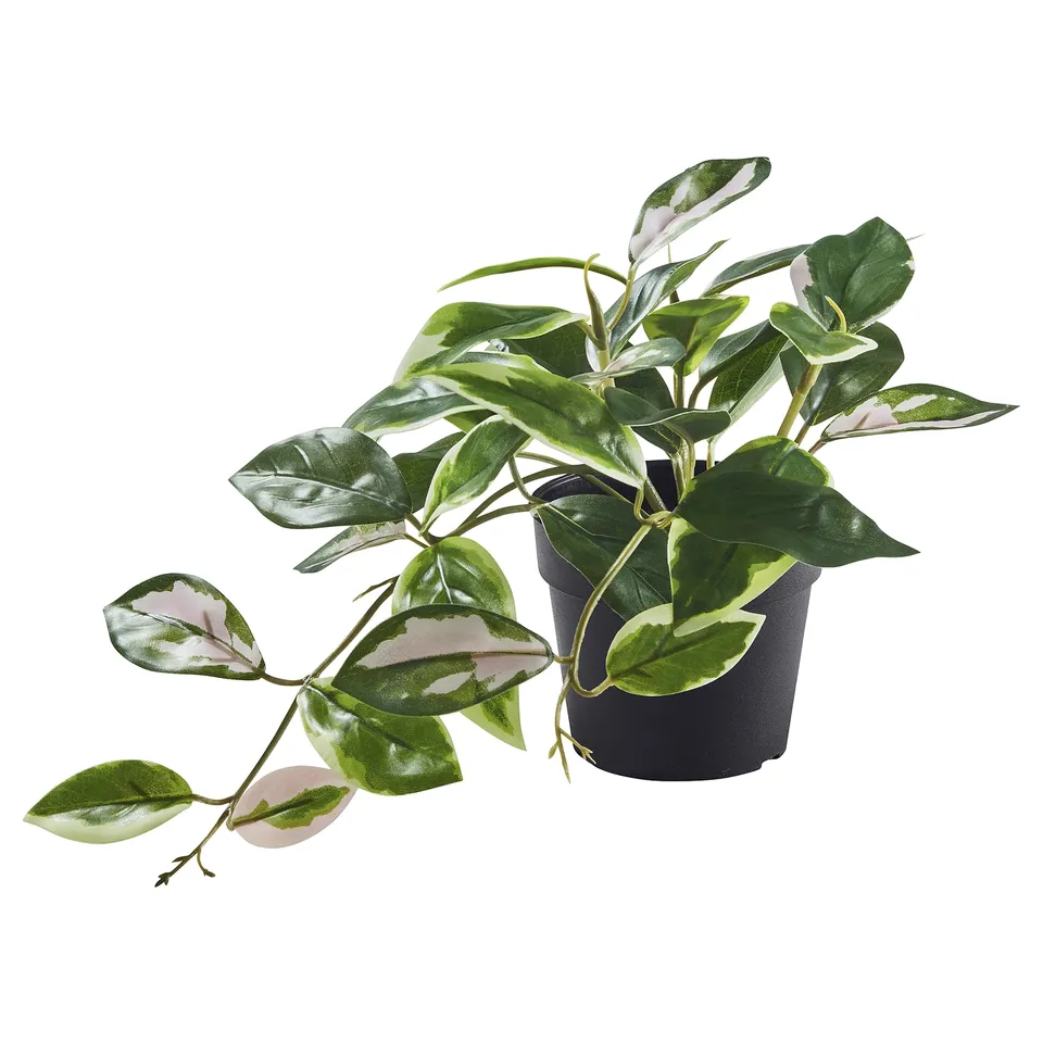 FEJKA plant, green with white variegation, potted in dark grey plastic, realistic, indoor decor.