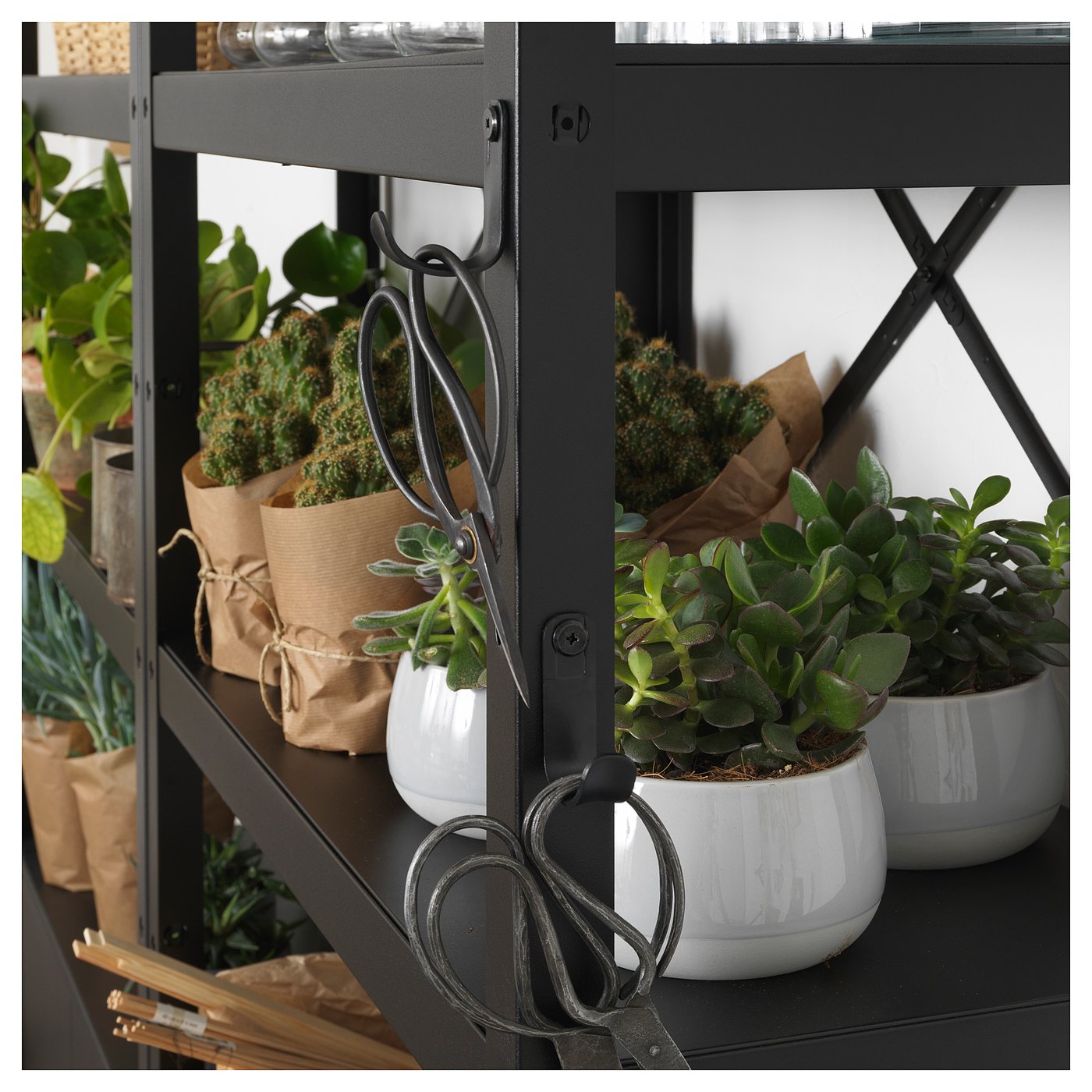Black metal plant shelf with white pots, green plants, and hanging scissors.