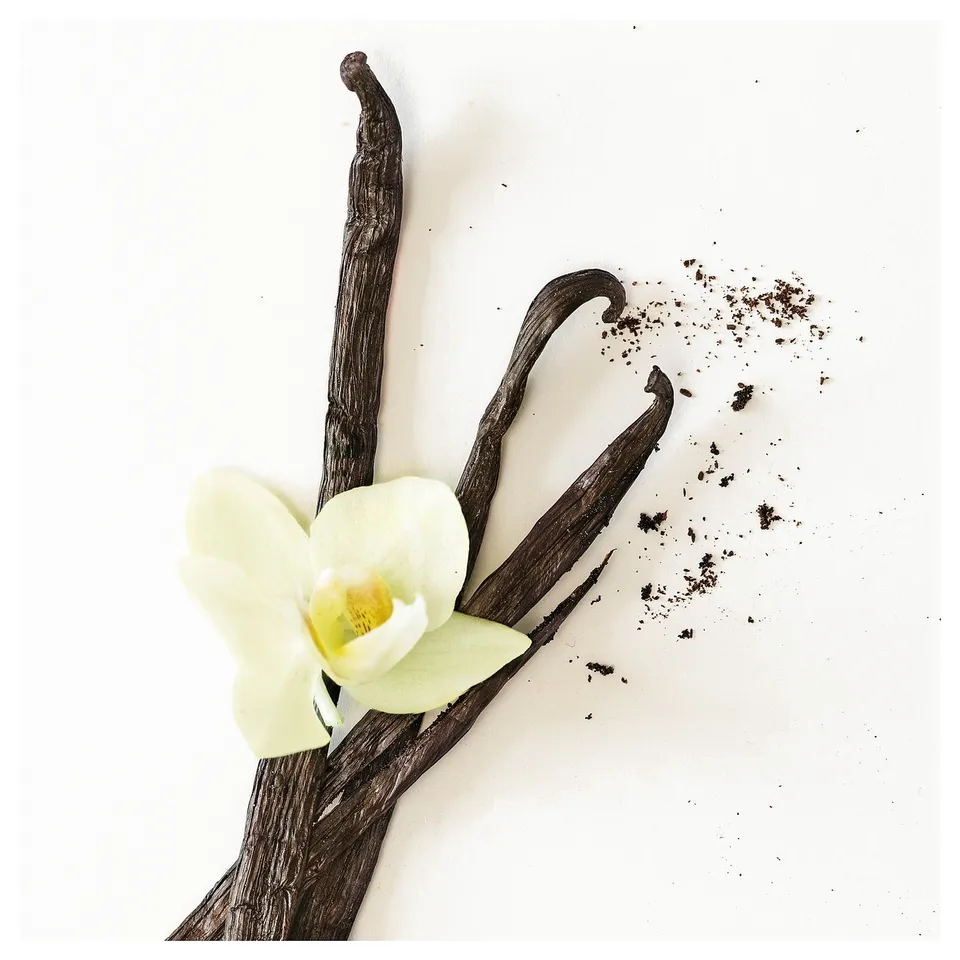 Vanilla beans and orchid on white background; two brown beans with yellow plant and seeds.