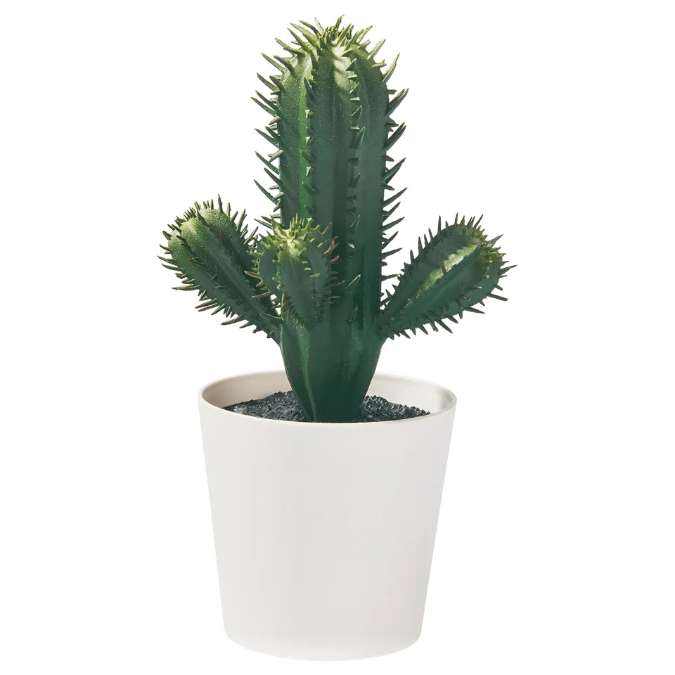 White-potted cactus with three bright green arms.
