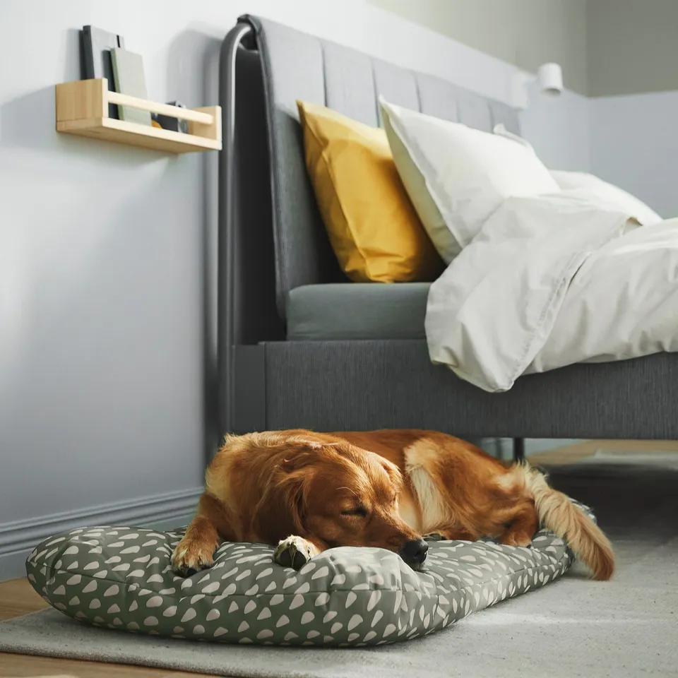 A dog sleeps on a patterned pet cushion beside a bed with yellow and white pillows.
