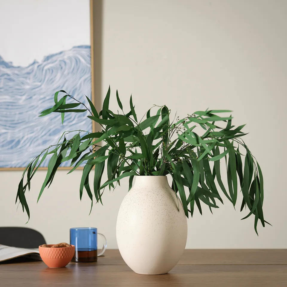 part: TORKA dried plants