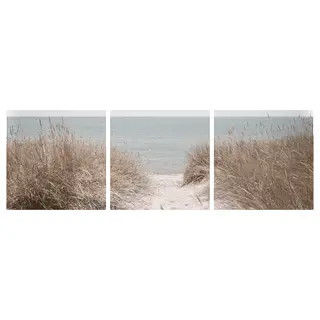 PJÄTTERYD picture, Swedish sand dunes, 56x56 cm