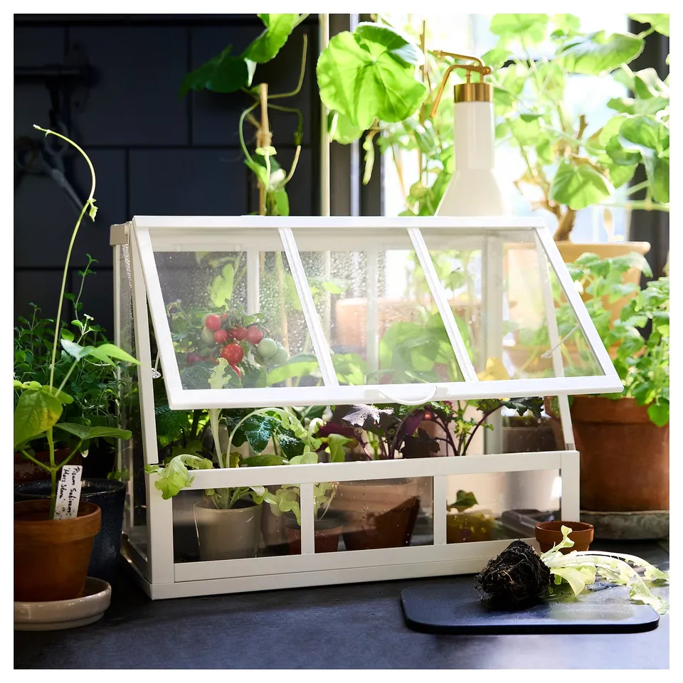 ÅKERBÄR Greenhouse, in/outdoor/white, 45 cm