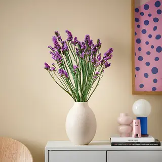 BLODBJÖRK/TORKA set: dried parts of flowers/plants + vase