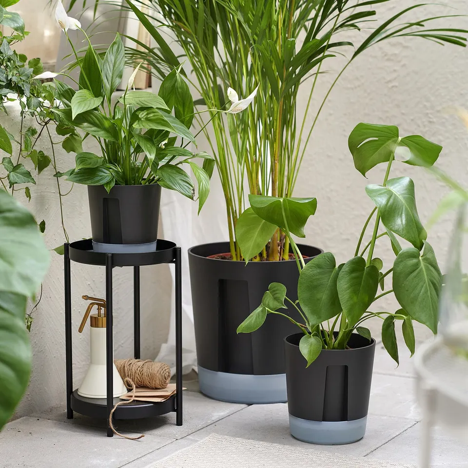 Three potted plants in black and blue self-watering VÅRDTRÄD pots on a balcony. One on a stand with a watering can.
