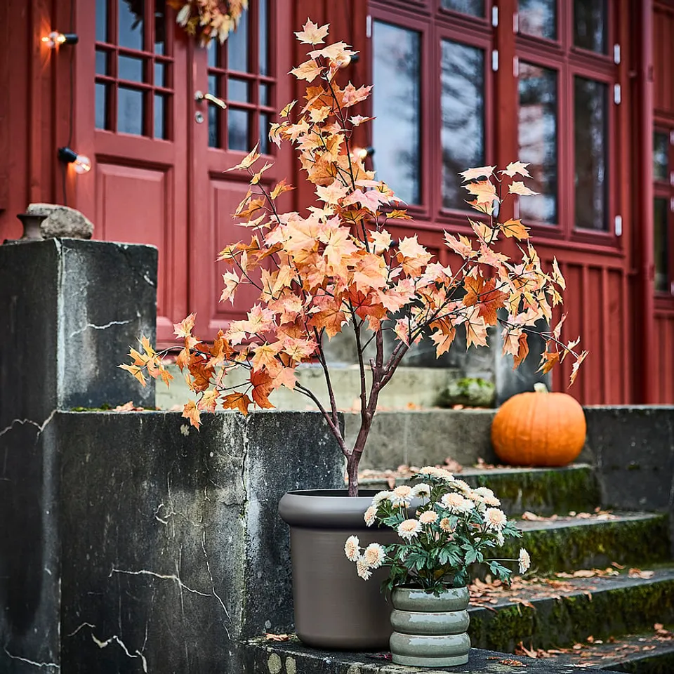 FEJKA Artificial potted plant, in/outdoor/maple tree orange-brown, 19 cm