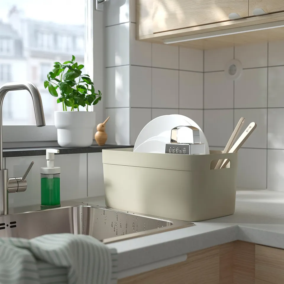 Kitchen sink area with a dish drainer holding plates and utensils, a soap dispenser, and a green plant.