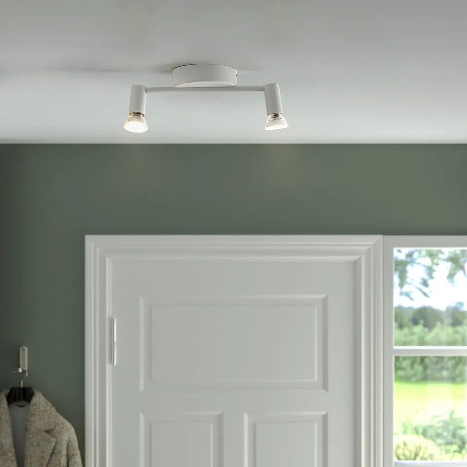 White ceiling light with two adjustable spots, illuminating a green wall and white door.