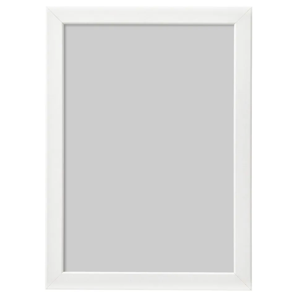 part: FISKBO frame