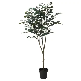 FEJKA artificial potted plant, in/outdoor eucalyptus, 19 cm