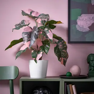 FEJKA/SOJABÖNA set: artificial potted plant + plant pot