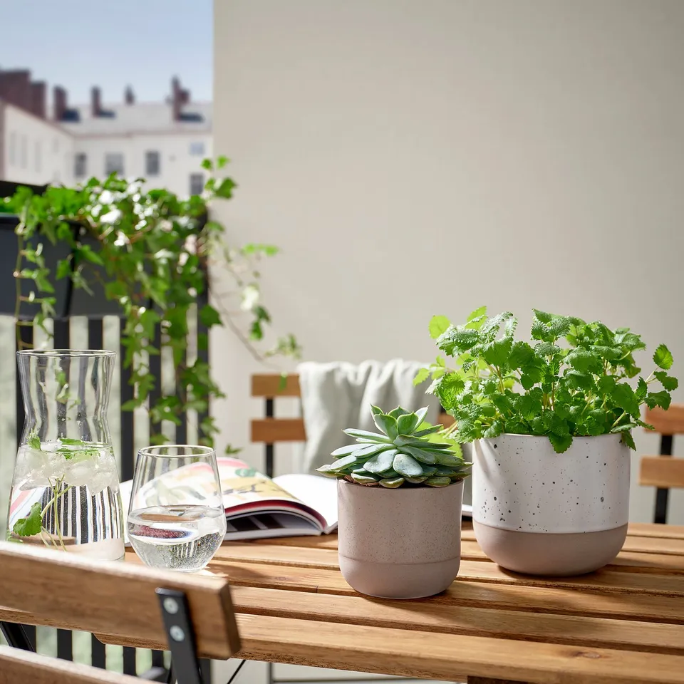 part: BUSKKAPRIFOL plant pot