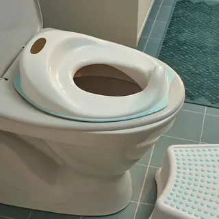 FÖRSIKTIG/TOSSIG set: children's stool + toilet seat