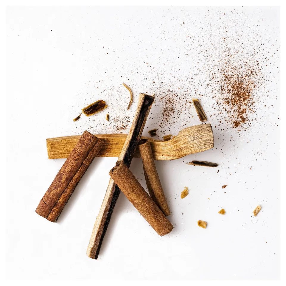 Wooden sticks and small pieces scattered on white surface. Some sticks have brown powder on them.