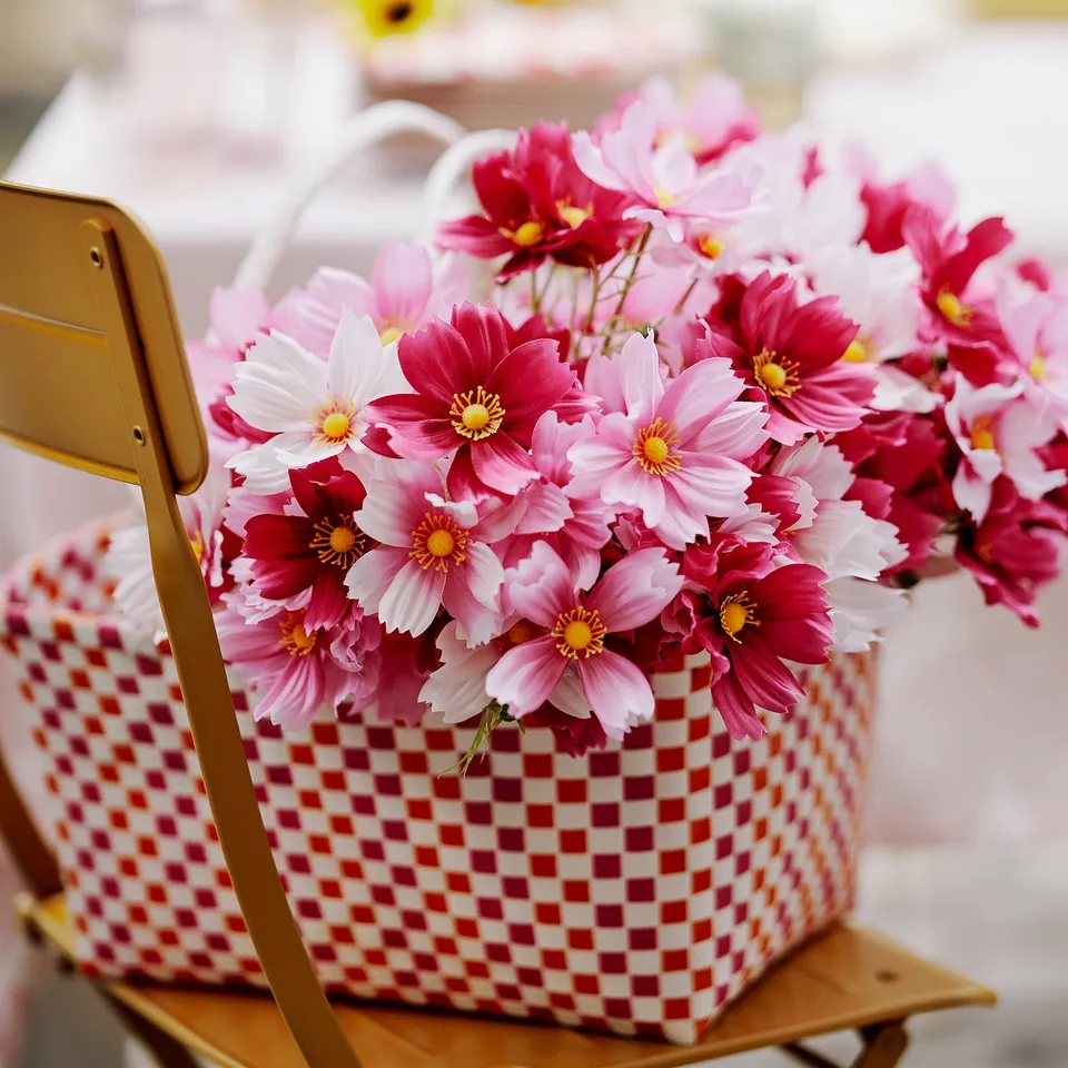 SMYCKA Artificial bouquet, in/outdoor/cosmos pink, 50 cm