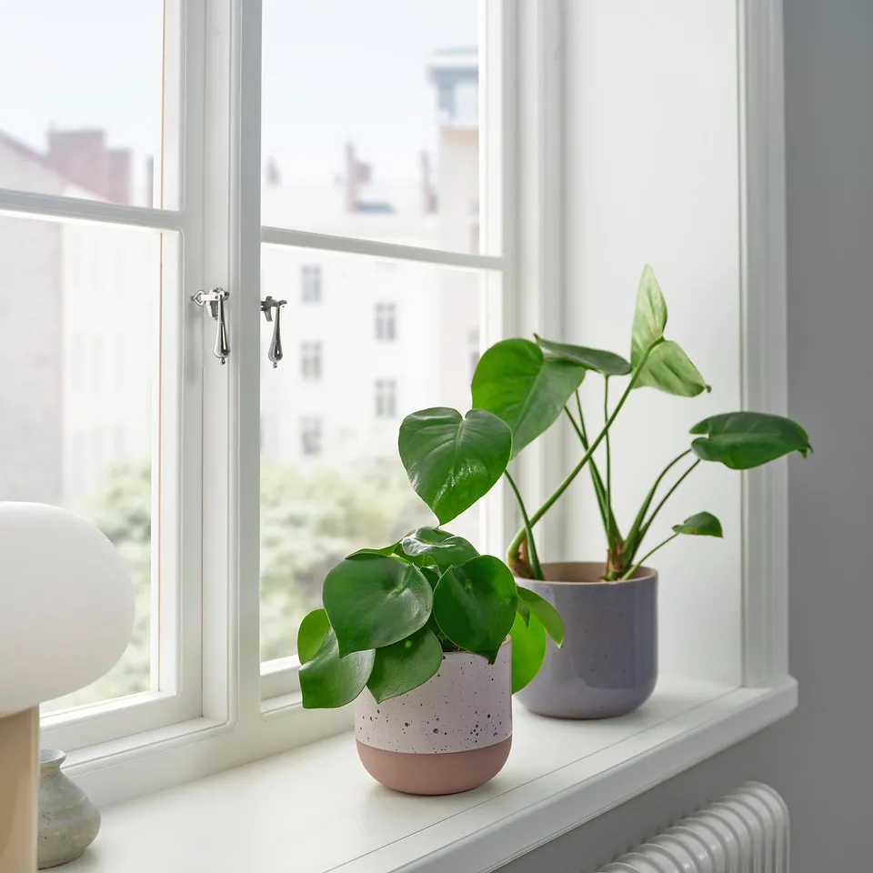 part: BUSKKAPRIFOL plant pot