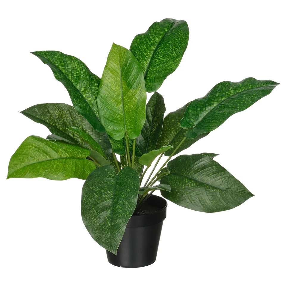 FEJKA plant, green, potted, plastic, indoor, realistic.