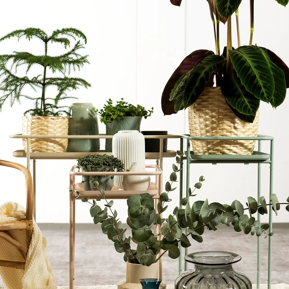 Scenic indoor display with TONSÄTTA vases in blue & white, woven baskets, and potted plants on shelves.