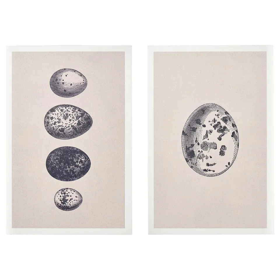 The BJÖRNAMO picture set with black-and-white nature-inspired art, framed in white.