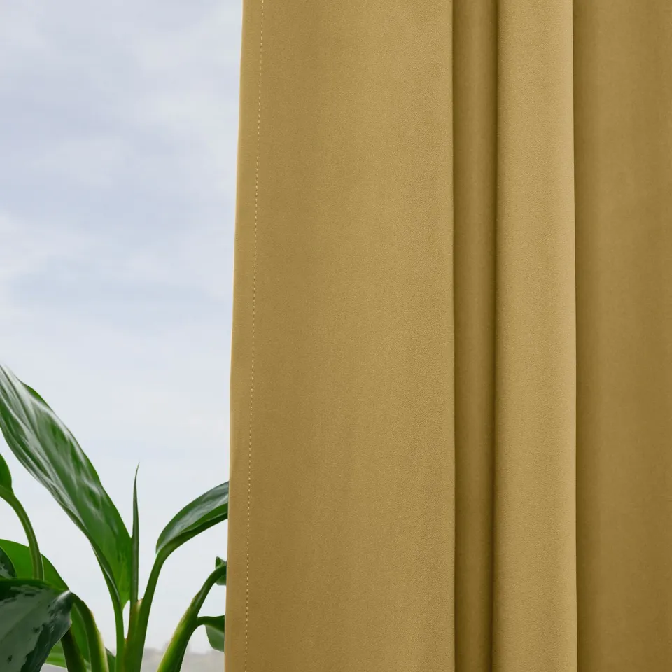 Curtains partially drawn, soft light, green plant, daytime privacy.