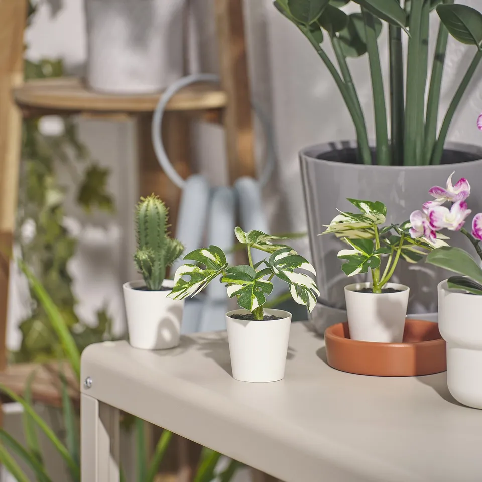 Small artificial plants in white pots displayed on a light-colored shelf near other plants and shelves.