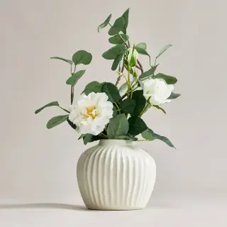 PELARBJÖRK/SMYCKA