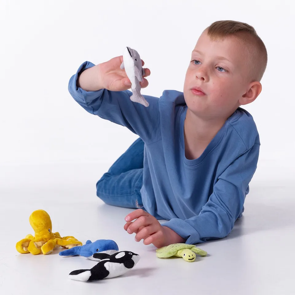 Boy plays with sea creature toys, holding white one.