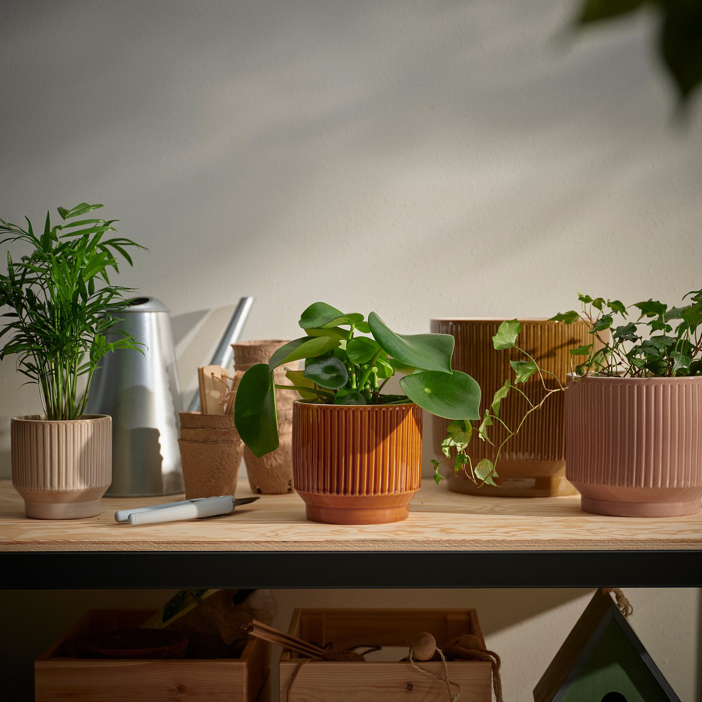 part: HONUNGSPALM plant pot