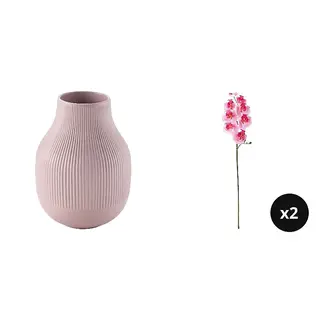 GRADVIS/SMYCKA set: vase + Orchid/pink*2