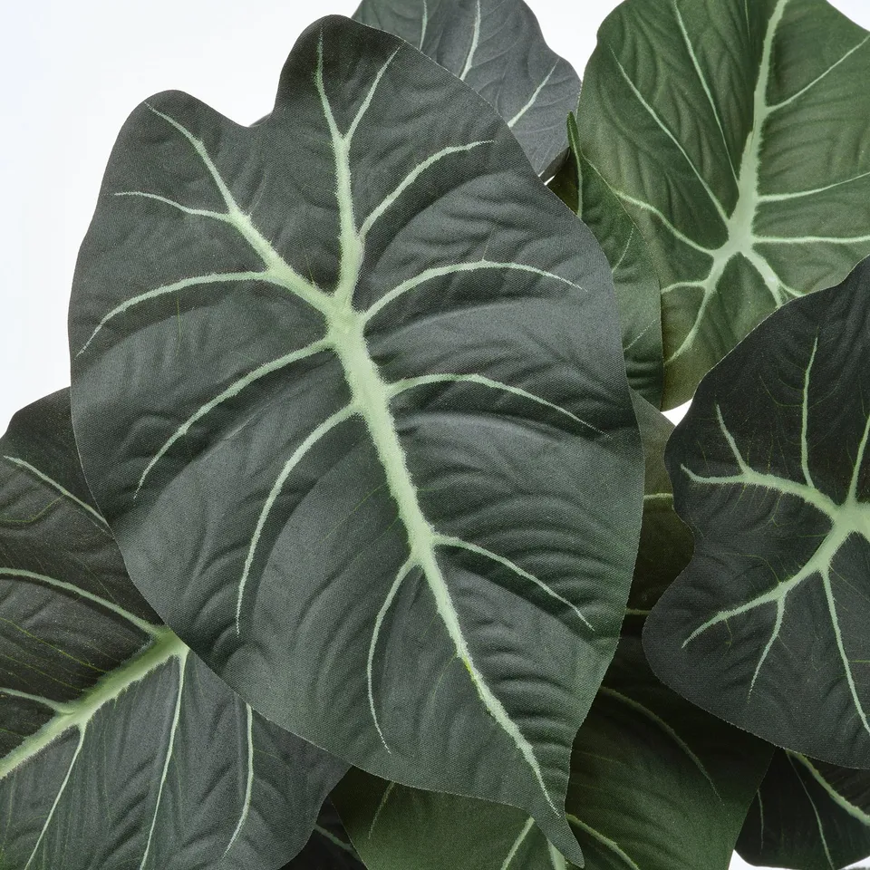 Fake leafy plant, dark green with light veins, high quality.