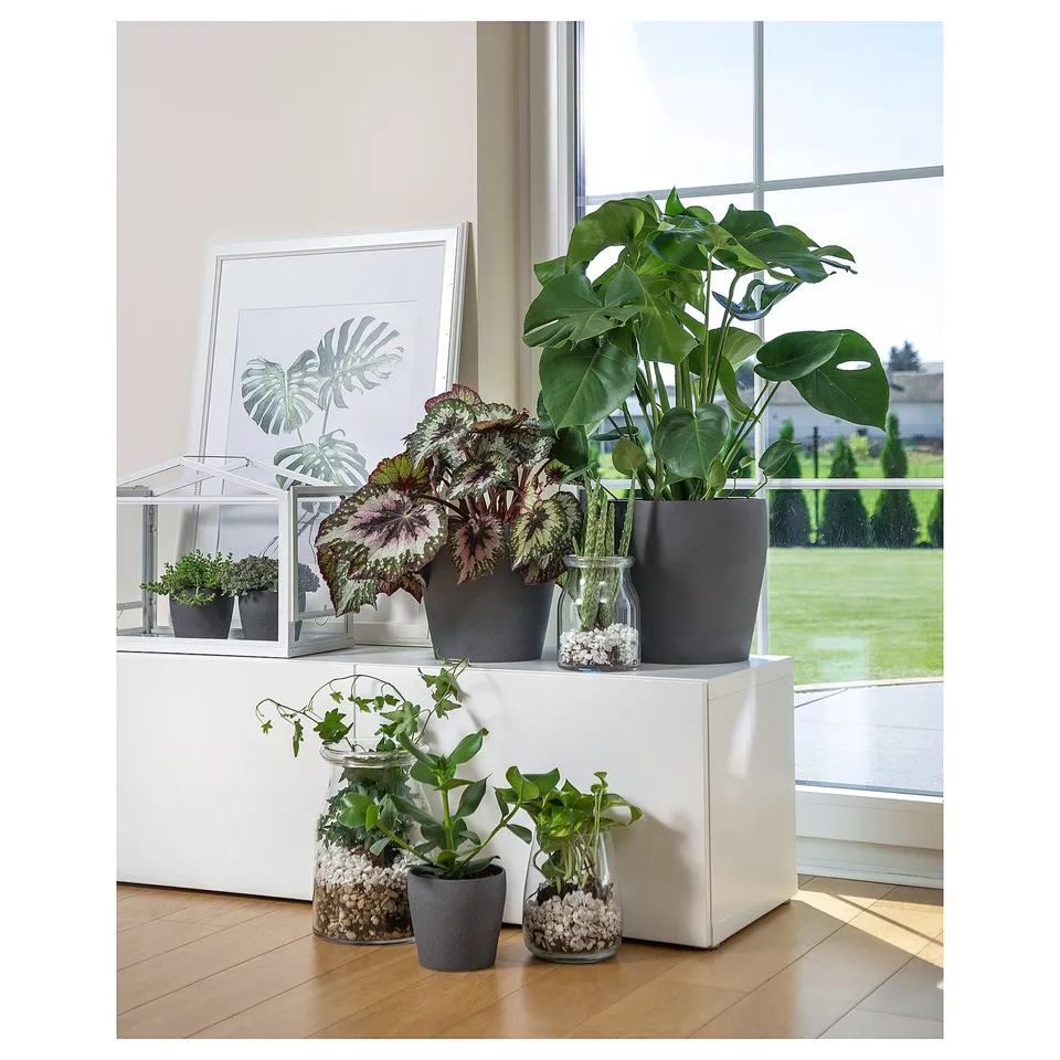 part: PERSILLADE plant pot