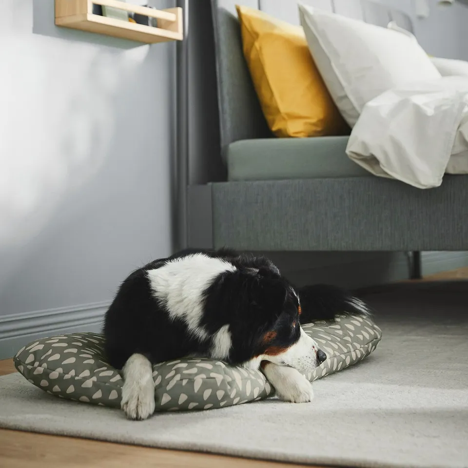 A black and white dog lies comfortably on a patterned cushion, designed for pets.