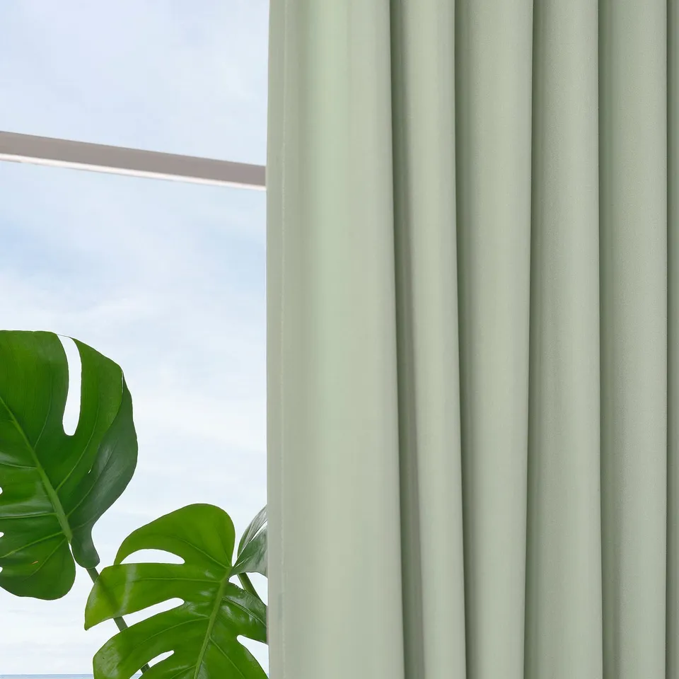 Light-blocking curtains, drawn to the side, reveal blue sky. A large green leafy plant stands by the window.