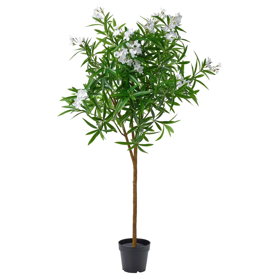 FEJKA Artificial potted plant, in/outdoor/Nerium white, 19 cm