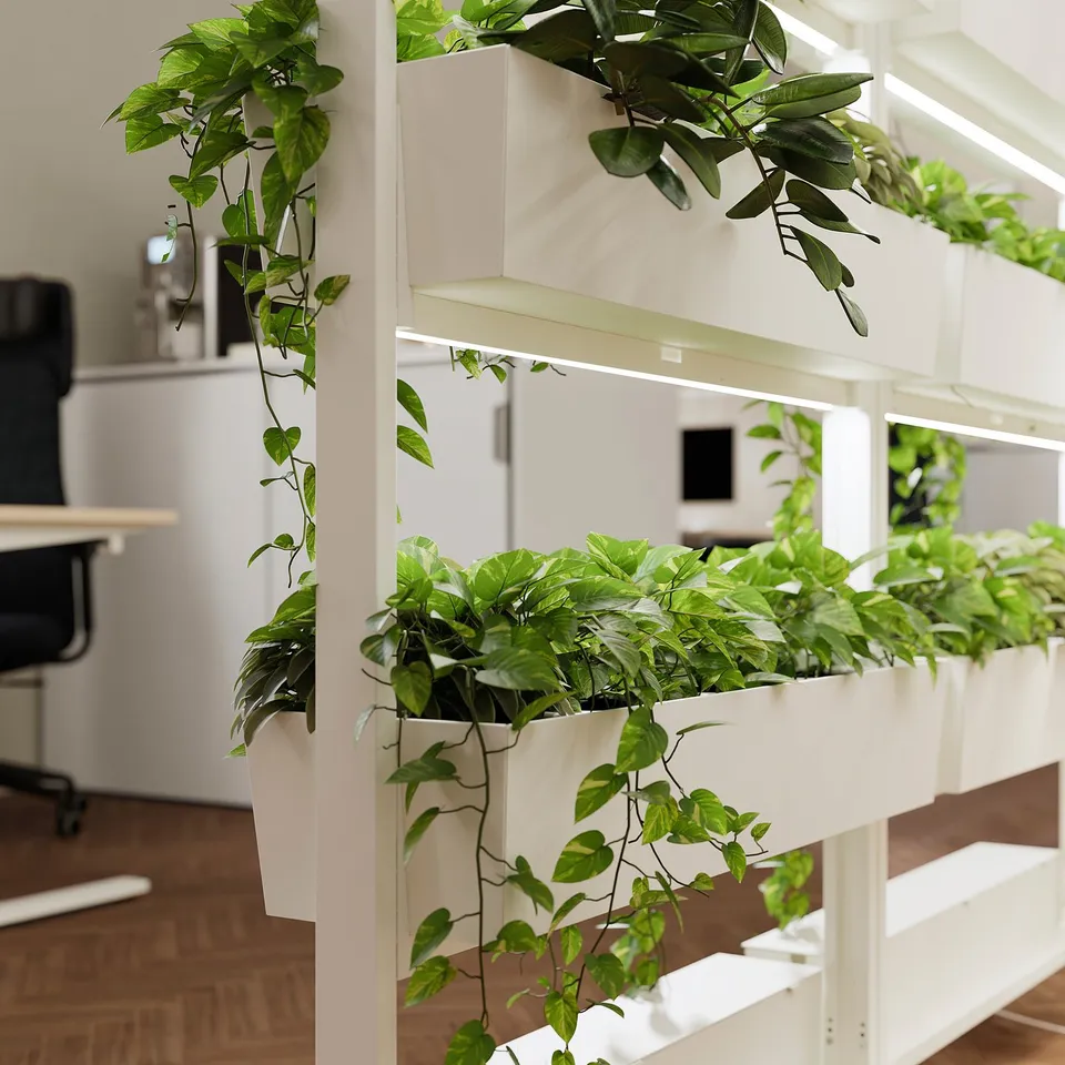Vertical office wall with MITTZON green dividers, integrating plants for focus and well-being.
