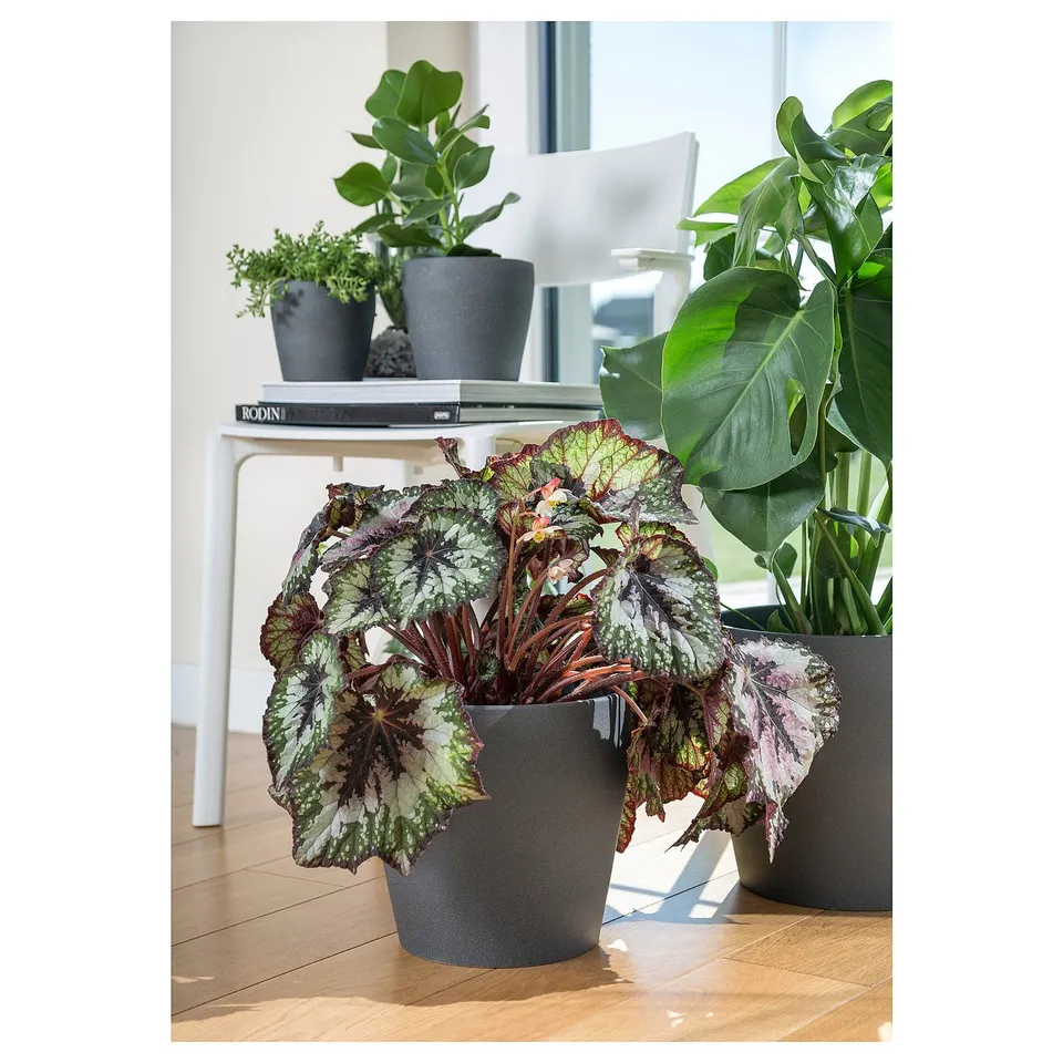 part: PERSILLADE plant pot
