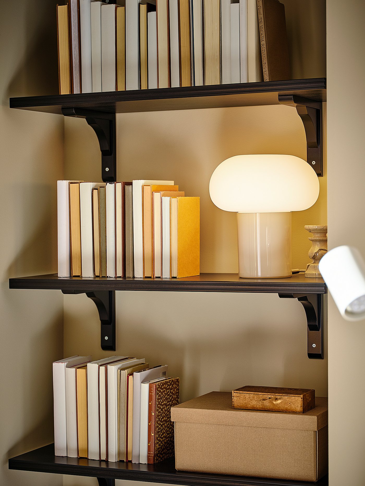 Shelf with books and lamp; modern design; brown-black; three-tiered.