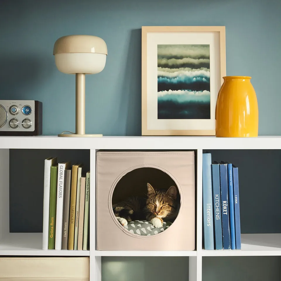 Cat in cosy house on shelf with books and decor, beige lamp, yellow vase, and ocean art.