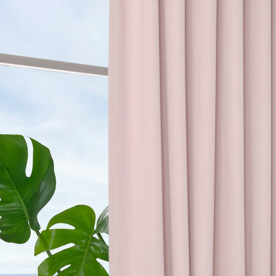 Pink curtains hang by a window, blocking out light. A green plant is visible at the bottom left.