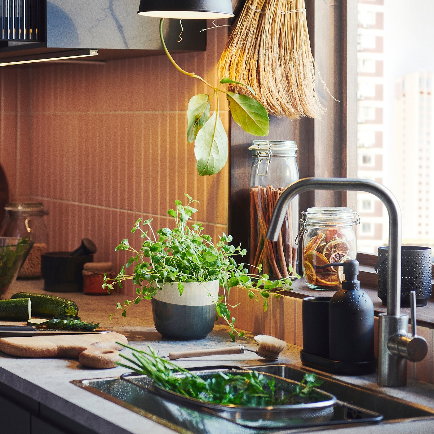 Modern kitchen sink with potted herbs, vegetables, and KORKEN jars storing dried goods and preserving food, under a window with hanging plants.