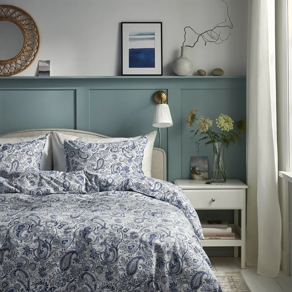 RODGERSIA in a room