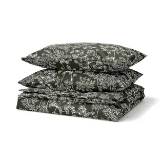 DAGGBJÖRNBÄR