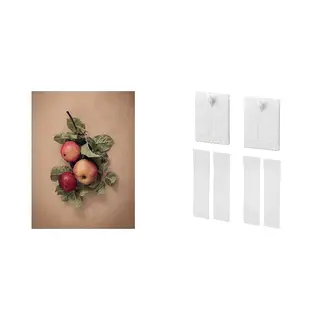 picture + adhesive hook ×2 set: picture + adhesive hook for frame