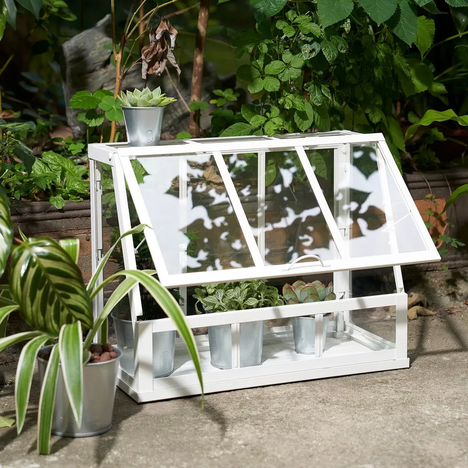 Mini greenhouse with small potted plants inside. Clear lid and front panels, ideal for growing herbs.