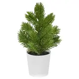 VINTERFINT artificial potted plant, in/outdoor Christmas tree/green, 6 cm