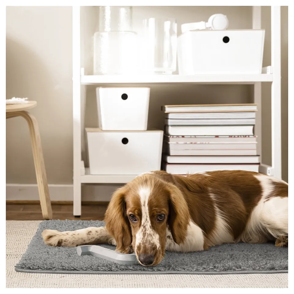 A brown and white dog lies on a grey ÄRENDE rug. Behind is a white bookshelf with books and storage boxes.