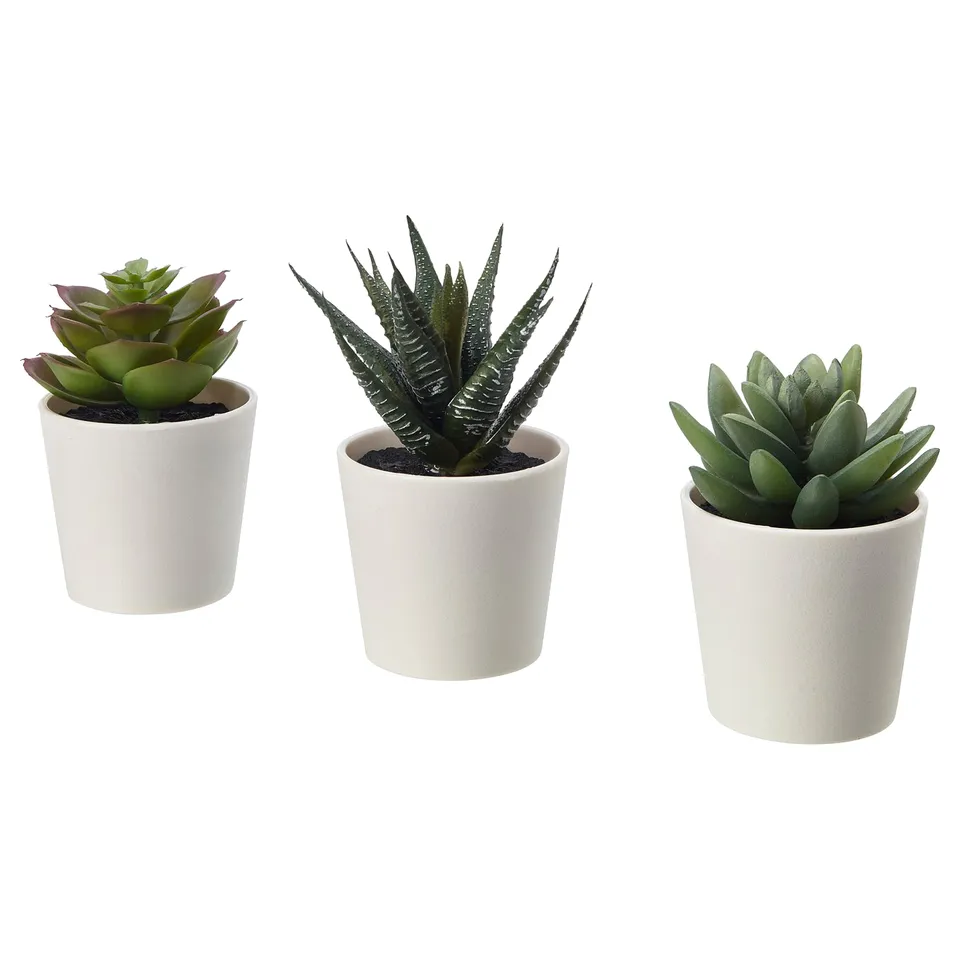 Three artificial succulents in white pots. Ideal for low-maintenance greenery.